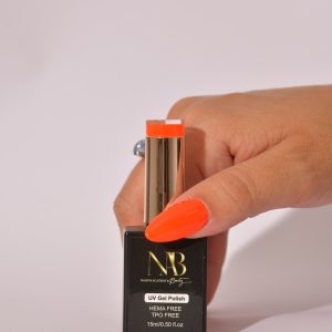 Accueil produit h006 solar
