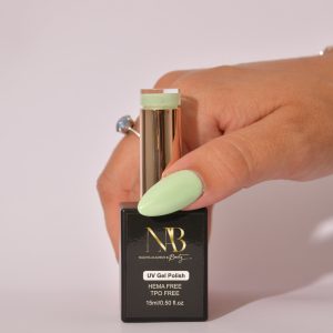 Accueil produit h050 pistachio