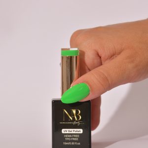 Accueil green apple h213